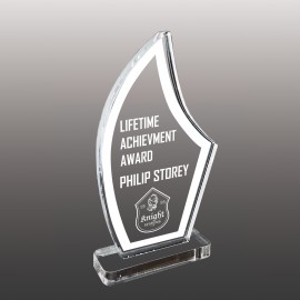 Promotional Small Blade Shaped Etched Acrylic Award  Promotional Small Blade Shaped Etched Acrylic Award
