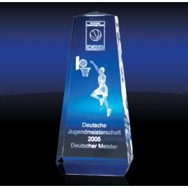 Trophy Award - Medium with Logo