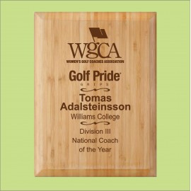 Bamboo Plaque 8" x 10" Direct Laser Engraving with Logo