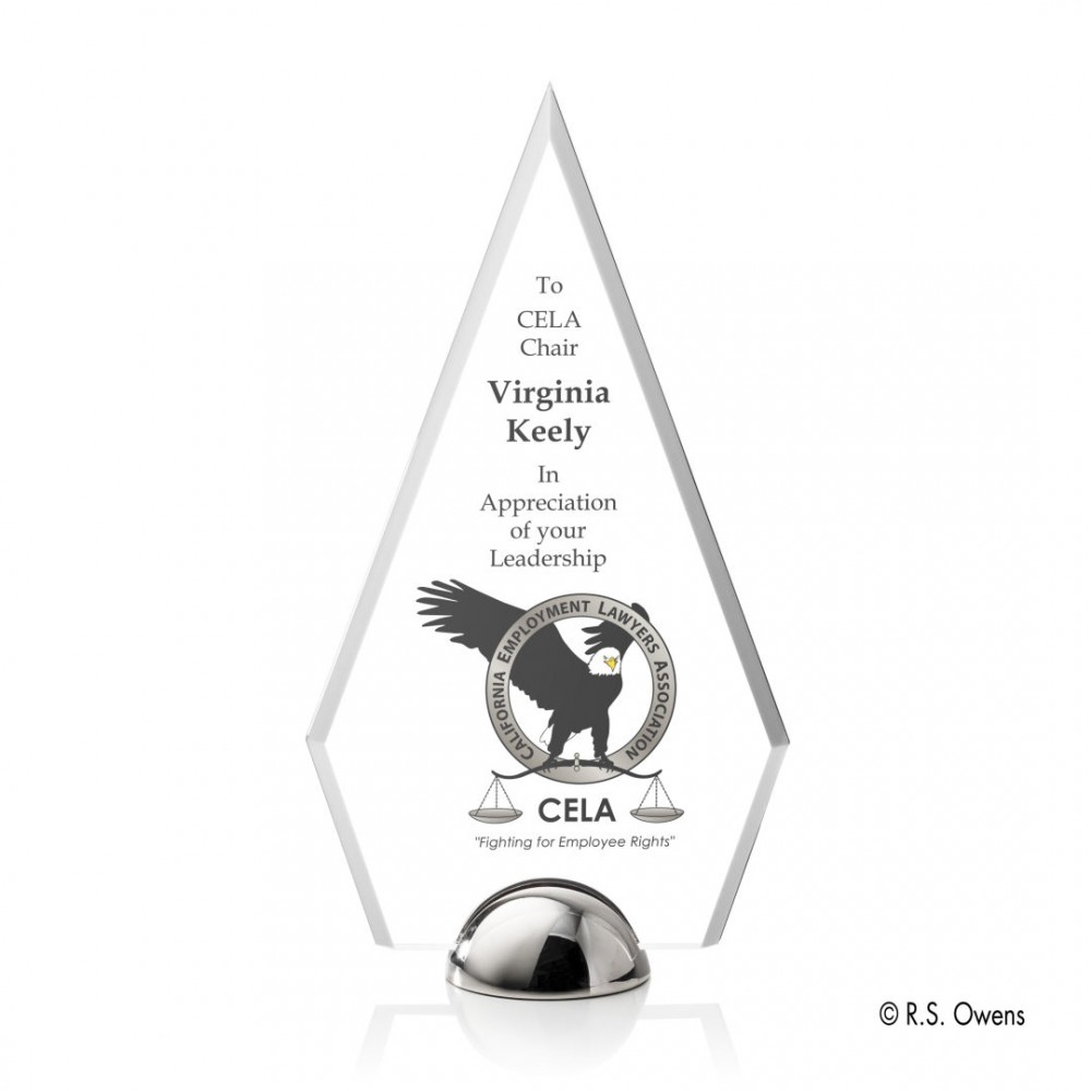 VividPrint Award - Apex Hemisphere/Silver 9" with Logo