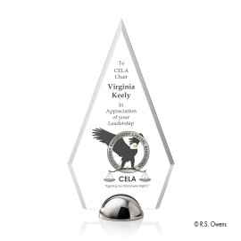 VividPrint Award - Apex Hemisphere/Silver 9" with Logo