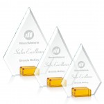 Charlotte Award - Amber with Logo