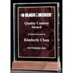 Acrylic Award with a Ruby Marble Center 7 5/8 inch Logo Imprinted
