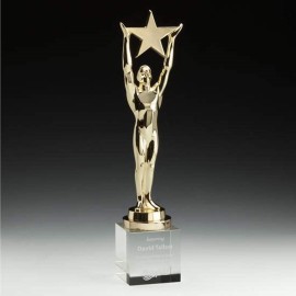 Star Achievement on Optical - Gold 14" with Logo  Star Achievement on Optical - Gold 14" with Logo