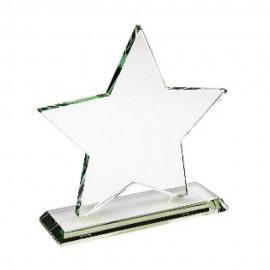 Shining Star Glass Award with Logo