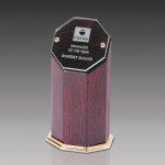 Promotional Cherry Hexagon Glass Award 6.75"