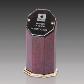 Promotional Cherry Hexagon Glass Award 6.75"