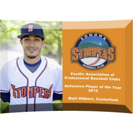 Curved Award Sublimated (7"x5") with Logo  Curved Award Sublimated (7"x5") with Logo