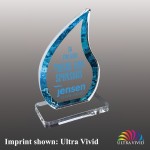 Small Teardrop Shaped Ultra Vivid Acrylic Award with Logo
