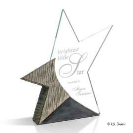 Brilliance Award - Acrylic/Stonecast 9" with Logo  Brilliance Award - Acrylic/Stonecast 9" with Logo