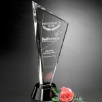 Customized Invincible Award 10"