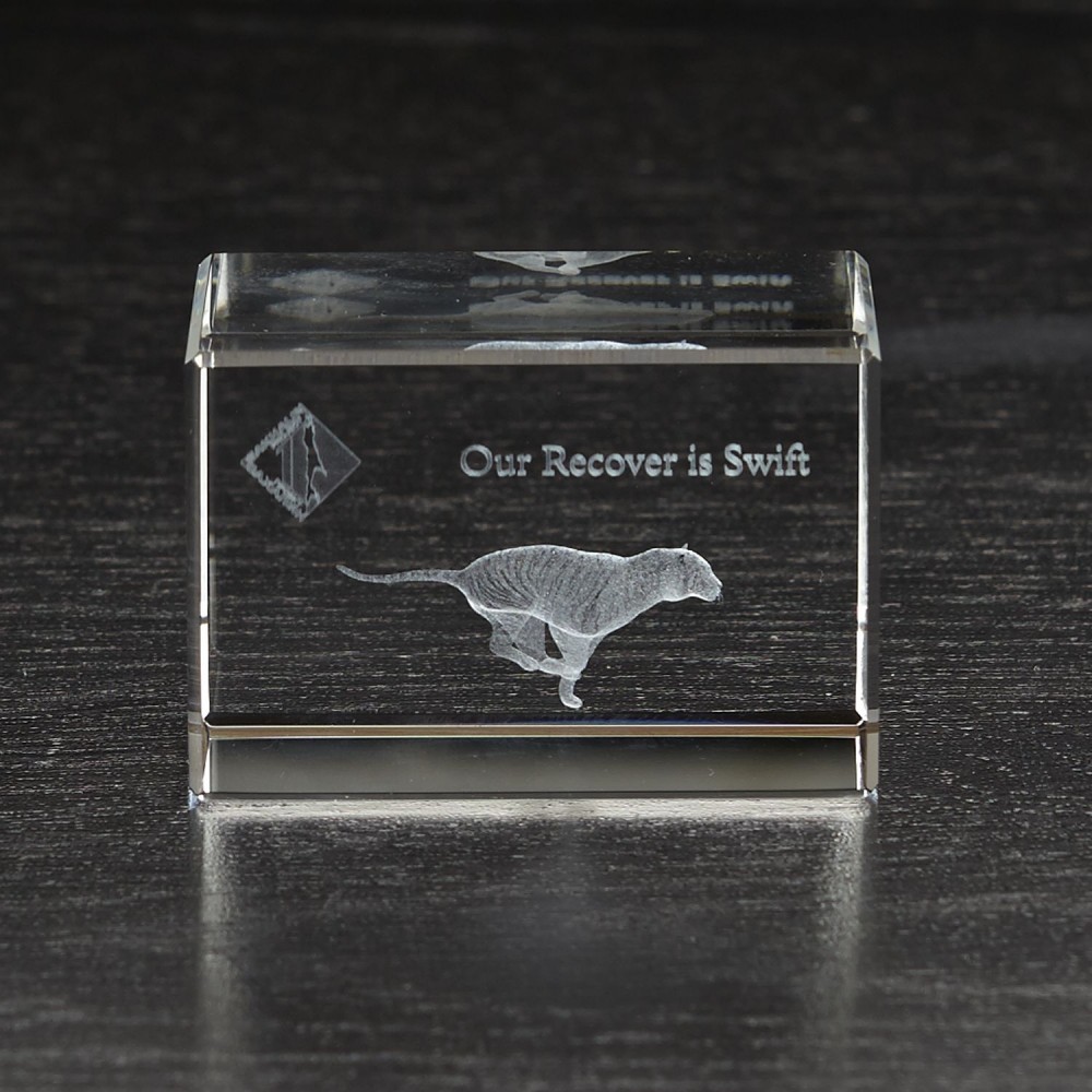 Small Block 3D Crystal Award with Logo Small Block 3D Crystal Award with Logo