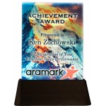 Lighted Statement Award (6"x8") with Logo