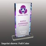 Small Vertical Rectangle Shaped Full Color Acrylic Award with Logo