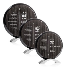 Donavan Slatewood Award - Silver with Logo