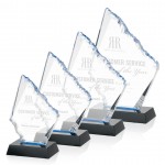 Reddington Award with Logo