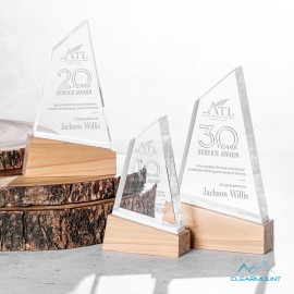 Logo Branded Terra Award