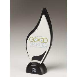 Ignite Award with Logo  Ignite Award with Logo