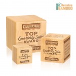 Kenilworth Cube Award with Logo