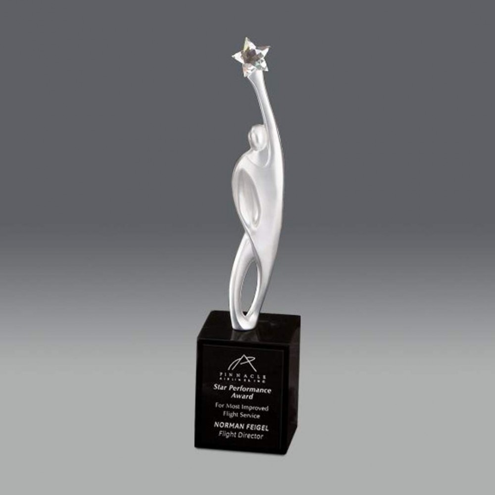 Customized Triumph Award - Satin Silver/Black 10"