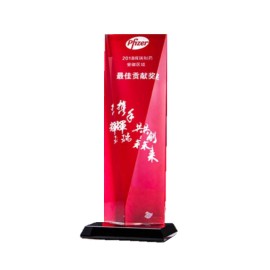 Customized Creative Design Crystal Trophy With Resin Base