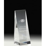 Custom Etched 7 7/8" OptiMaxx Incline Award