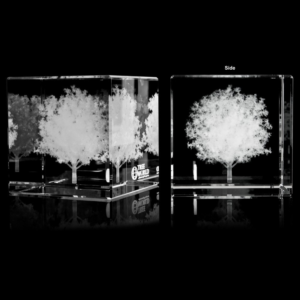 Crystal Cube with Logo