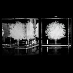 Crystal Cube with Logo