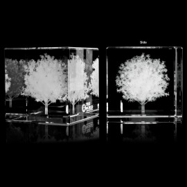 Crystal Cube with Logo