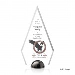VividPrint Award - Apex Hemisphere/Black Nickel 9" with Logo