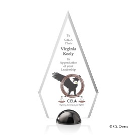 VividPrint Award - Apex Hemisphere/Black Nickel 9" with Logo  VividPrint Award - Apex Hemisphere/Black Nickel 9" with Logo