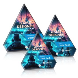 Polaris Diamond VividPrint Award - Silver with Logo