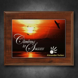 Custom Econo Cherry Plaque 7" x 9" with Sublimated Plate