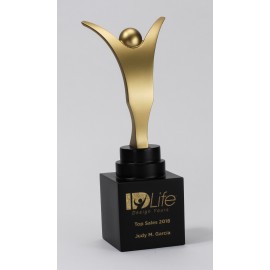 Large Zenith Award with Logo