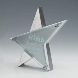 Custom Stellar Award - Acrylic/Silver 10"