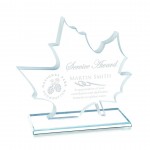 Custom Etched Arcadia Award - 3/8" Starfire 6"x5"