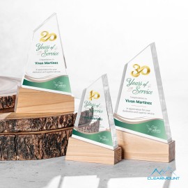 Promotional Terra VividPrint Award
