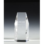 Laser-etched 6" OptiMaxx Hexagon Award