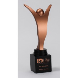 Customized Small Zenith Award