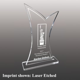 Custom Small Fish Tail Shaped Etched Acrylic Award