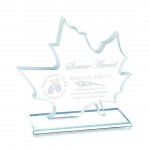 Logo Branded Arcadia Award