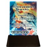 Logo Branded Lighted Statement Award (8"x10")