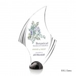 Customized VividPrint Award - Flourish Hemisphere/Black Nickel 9"