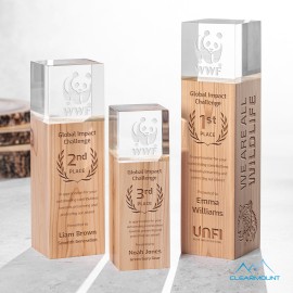 Promotional Branche Award