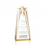 Promotional Rosina Star Award - Acrylic/Gold 8"