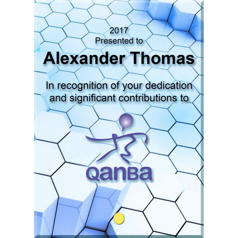 Customized Vertical Rectangular Award with Pin (5"x7")