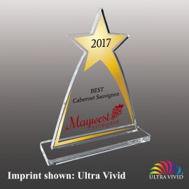 Personalized Acrylic Star Awards - Ultra Vivid Color  Personalized Acrylic Star Awards - Ultra Vivid Color