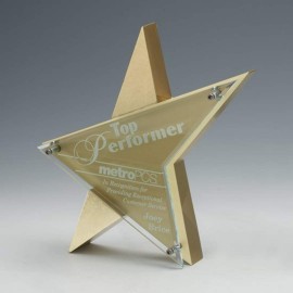 Stellar Award - Acrylic/Gold 10" with Logo