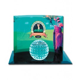 Full Color Spectral Sports Award (Large) with Logo