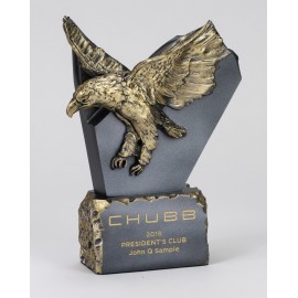 Large Vision Award with Logo